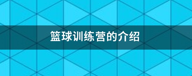 篮球系统训练学校